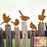 OULYDEKO rusty birds collection display for rustic garden charm