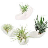 Ourhommie ceramic air plant holder hand-shaped white, ideal for desk display with low maintenance.