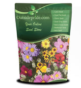 Outsidepride Birds & Butterfly Wild Flower Seed Mix; vibrant blooms attract pollinators