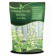 Outsidepride buckwheat seeds for cover crop planting and fast ground cover with erosion control.