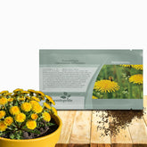 Outsidepride dandelion seeds pack for easy perennial planting and edible landscaping