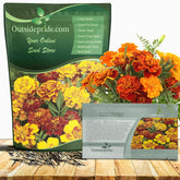 Outsidepride French Marigold seeds mix 1lb bag for vibrant annual blooms