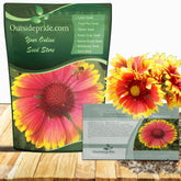 Outsidepride Gaillardia Aristata Red Blanket Flower seeds pack for sunny border planting