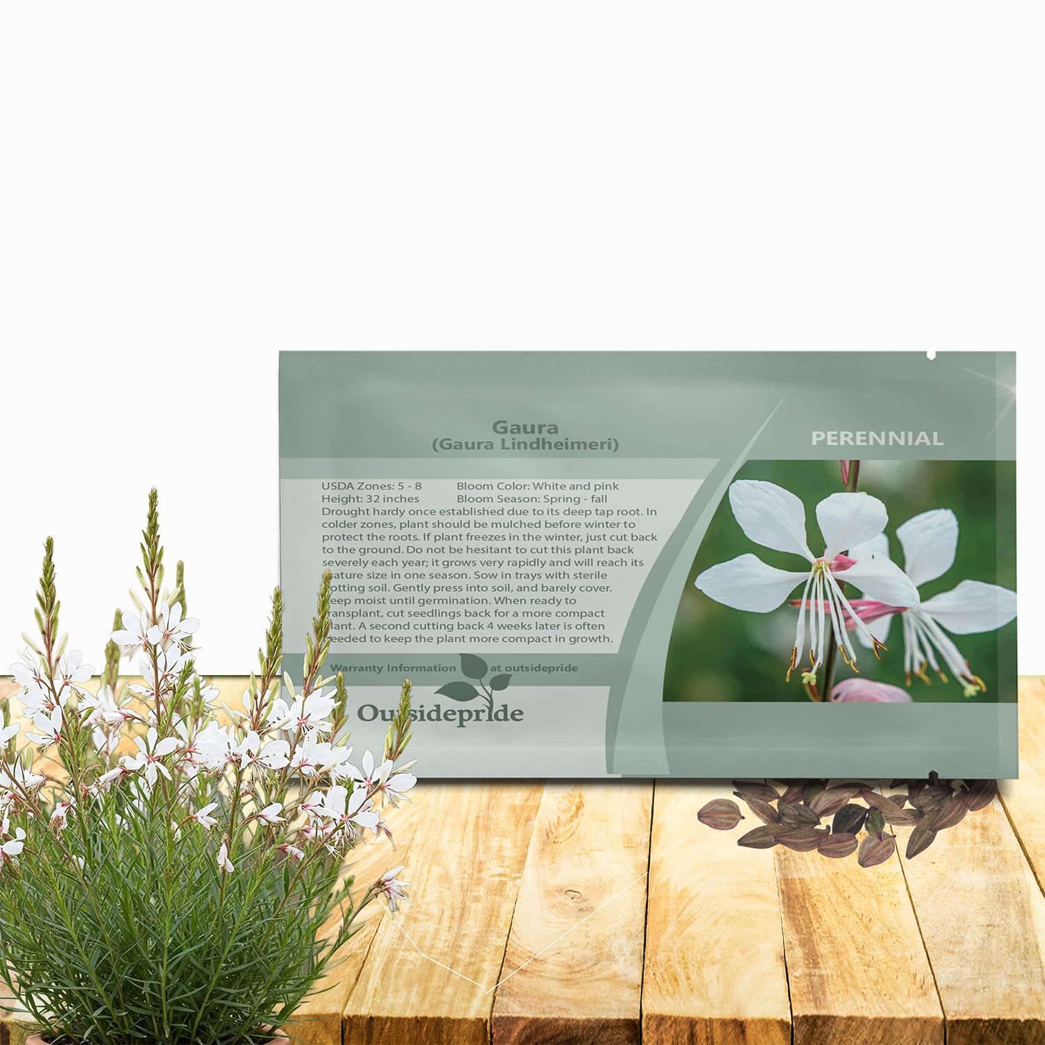 Outsidepride Gaura seeds pack featuring 200 seeds for drought-tolerant blooms