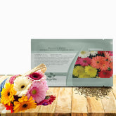 Outsidepride gerbera hybrid mix seeds pack ready to plant for vibrant color in any bed.
