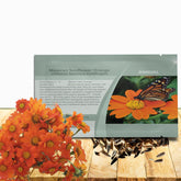 Outsidepride Goldfinger Mexican Sunflower seeds create bright border color.