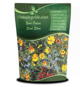Outsidepride Gulf Coast wildflower seed mix bloom height 24-36 inches adds dramatic vertical color.