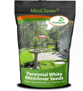 Outsidepride Miniclover seed dwarf leaf close-up, tiny leaves for dense, low-maintenance ground cover