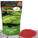 Outsidepride Perennial White MiniClover seed pack showing lawn-friendly ground cover potential