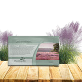 Outsidepride Pink Muhly grass stand adds height and movement to borders.