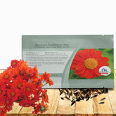 Outsidepride Red Torch Mexican Sunflower bloom showcases vibrant red petals and bold color for borders.