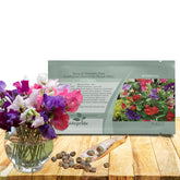 Outsidepride Royal Mix Sweet Pea seeds climbing a trellis with tall, colorful blooms