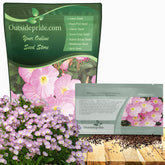 Outsidepride Showy Evening Primrose seeds display soft pink blooms for sunny garden color.