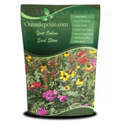Outsidepride Southeast Wildflower Seed Mix pack showing diverse blooms for pollinators.