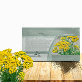 Outsidepride Tansy Seeds show yellow blooms for vibrant perennial color.