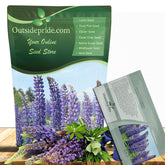 Outsidepride wild blue lupine blooms brighten borders and attract pollinators.
