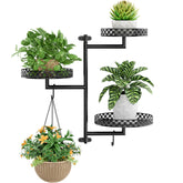 OVICAR rotating window shelves optimize sun exposure for thriving succulents.