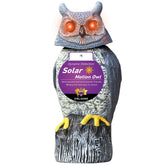 Owlsome solar owl with gradient eye lights enhances nighttime garden ambiance.
