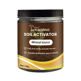 OYEWALLS Yegbong Soil Activator bottle pour supports rapid nutrient uptake for healthy growth.