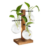 PAG Planter Terrariums Kit on a desk ready for hydroponic display.