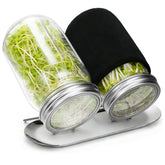 Palksky sprouting kit with glass mason jars for quick home-grown sprouts