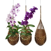 PANWA bamboo orchid basket front view shows natural dark finish for spring decor