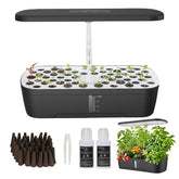 Paraquip 52Pods hydroponic garden on kitchen counter for year-round herbs