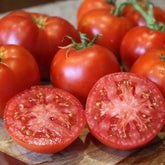 Park Seed Better Boy Plus tomato on the vine, large harvest-ready fruit for slicing