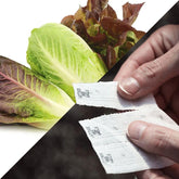 Park Seed seed tape cover image with pre-sown mix for effortless sowing