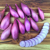 Park Seed Echallion Creme Brulee seed pack for early harvest flavor.