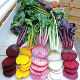 Park Seed Rainbow Beet seed tape with five colorful varieties for easy harvest.