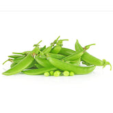 Park Seed Super Sugar Snap pod closeup of plump, sweet peas ready to harvest