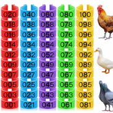 Patelai 16mm chicken leg rings colorful pack helps quick bird identification in the yard.
