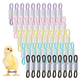 Patelai baby chick leg bands package with 50 elastic rings for easy use.