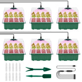 Pattiumo seed starter tray 6-pack with 6x12 silicone cells for organized germination.