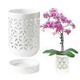 Pavtner Orchid Pots with Holes showcase air circulation for healthier roots.