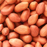 PeavyTailor 120-seed peanut seeds ready for planting and jumbo pod potential.