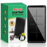 Pelrayt glue trap indoor setup for quick home pest capture.