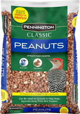 Pennington Classic Shelled Peanuts at a bird feeder attract woodpeckers and blue jays.