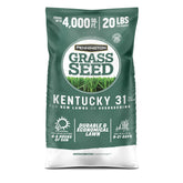 Pennington Kentucky 31 Tall Fescue seed 20 lb bag ready for overseeding and even germination