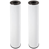 Pentek RFFE20-BB filter cartridge inside a Big Blue housing for whole-house filtration.