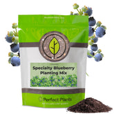 Perfect Plants blueberry potting mix bag label highlights organic premium blend for acid-loving shrubs
