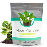 Perfect Plants indoor soil 4qt bag supports thriving potted plants.