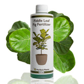 PERFECT PLANTS liquid fiddle leaf fig fertilizer bottle promotes growth and vibrant leaves.