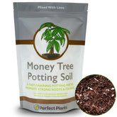 PERFECT PLANTS Money Tree Potting Soil 2qt bag promotes robust indoor growth.