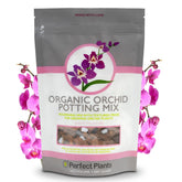 Perfect Plants orchid potting mix charcoal texture improves airflow for roots