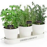 PERFNIQUE indoor herb planter with tray on a sunny windowsill, ready for fresh herbs.