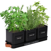 PERFNIQUE indoor herb garden planter with tray showcased in farmhouse style for kitchens