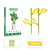 PESTCON 30-pack indoor traps pack shot for home use on houseplants.