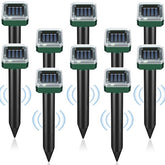 PestMentor Solar Mole Repellent Stakes protecting flower beds in bright sunlight